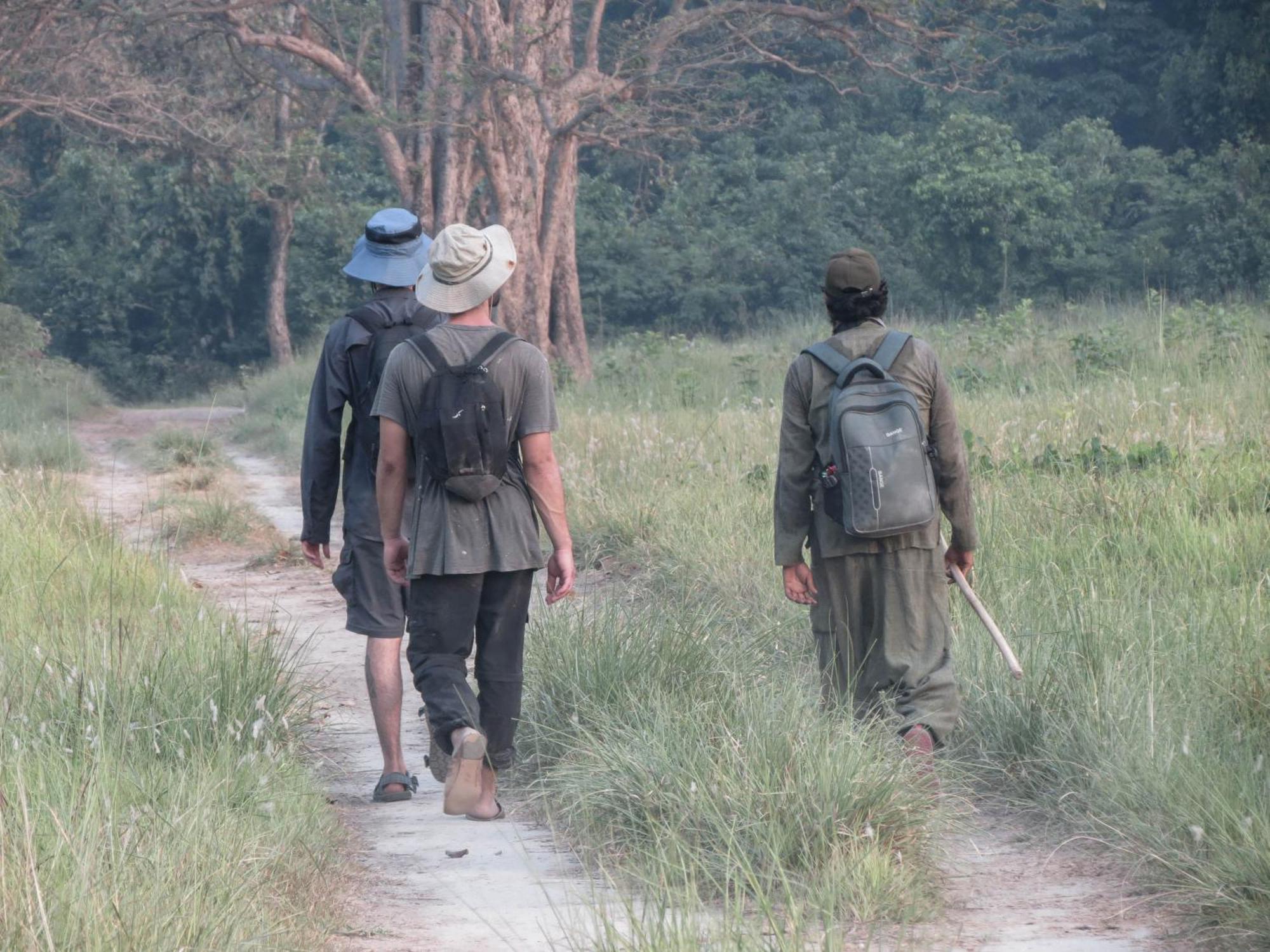 Forest Hideaway Resort Pvt Ltd Bardiya 外观 照片