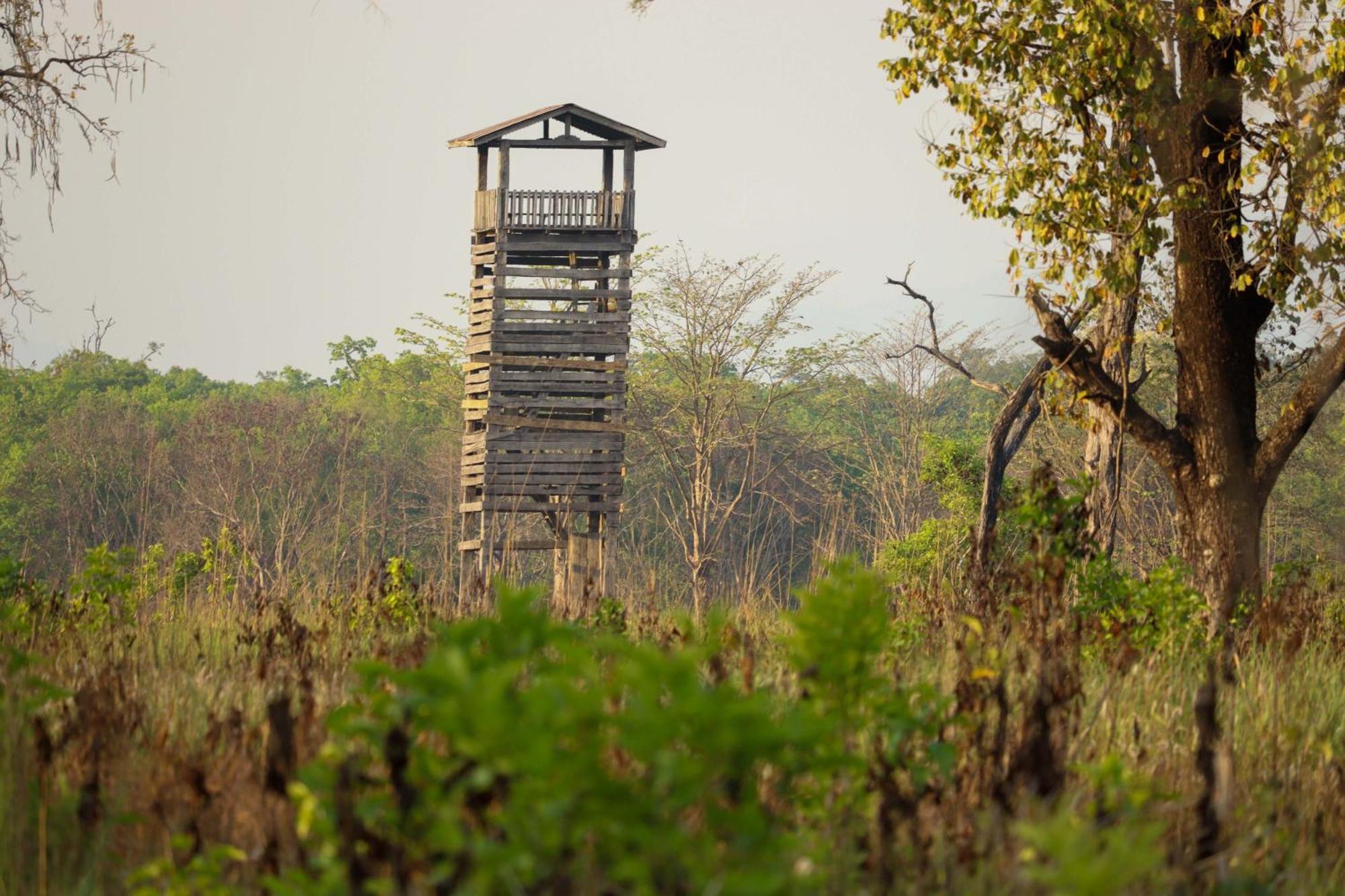 Forest Hideaway Resort Pvt Ltd Bardiya 外观 照片