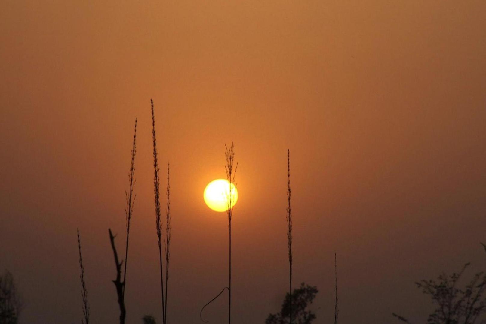 Forest Hideaway Resort Pvt Ltd Bardiya 外观 照片