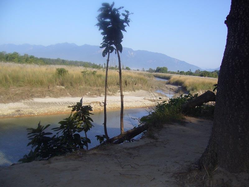 Forest Hideaway Resort Pvt Ltd Bardiya 外观 照片